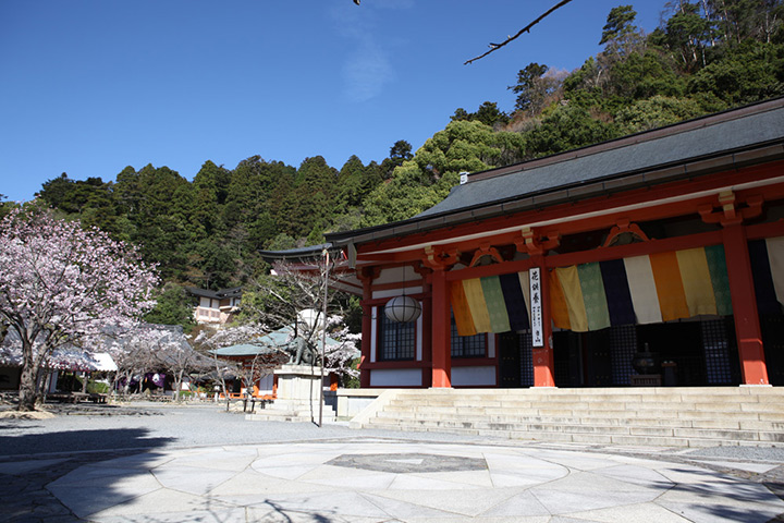 𩣑馬寺